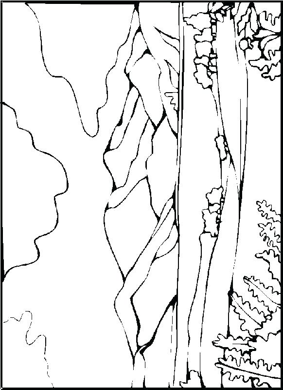 582x800 Desert Animals And Plants Coloring Pages Comic Landscape Car