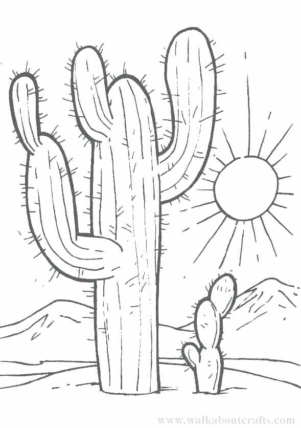 589x836 Desert Coloring Pages Educational Coloring Pages