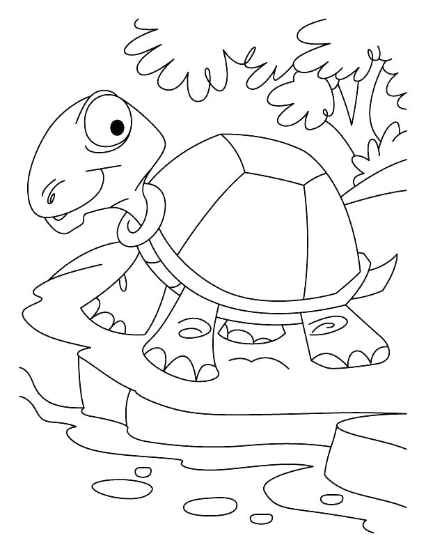 612x792 Desert Coloring Pages Coloring Desert Animals Coloring Pages