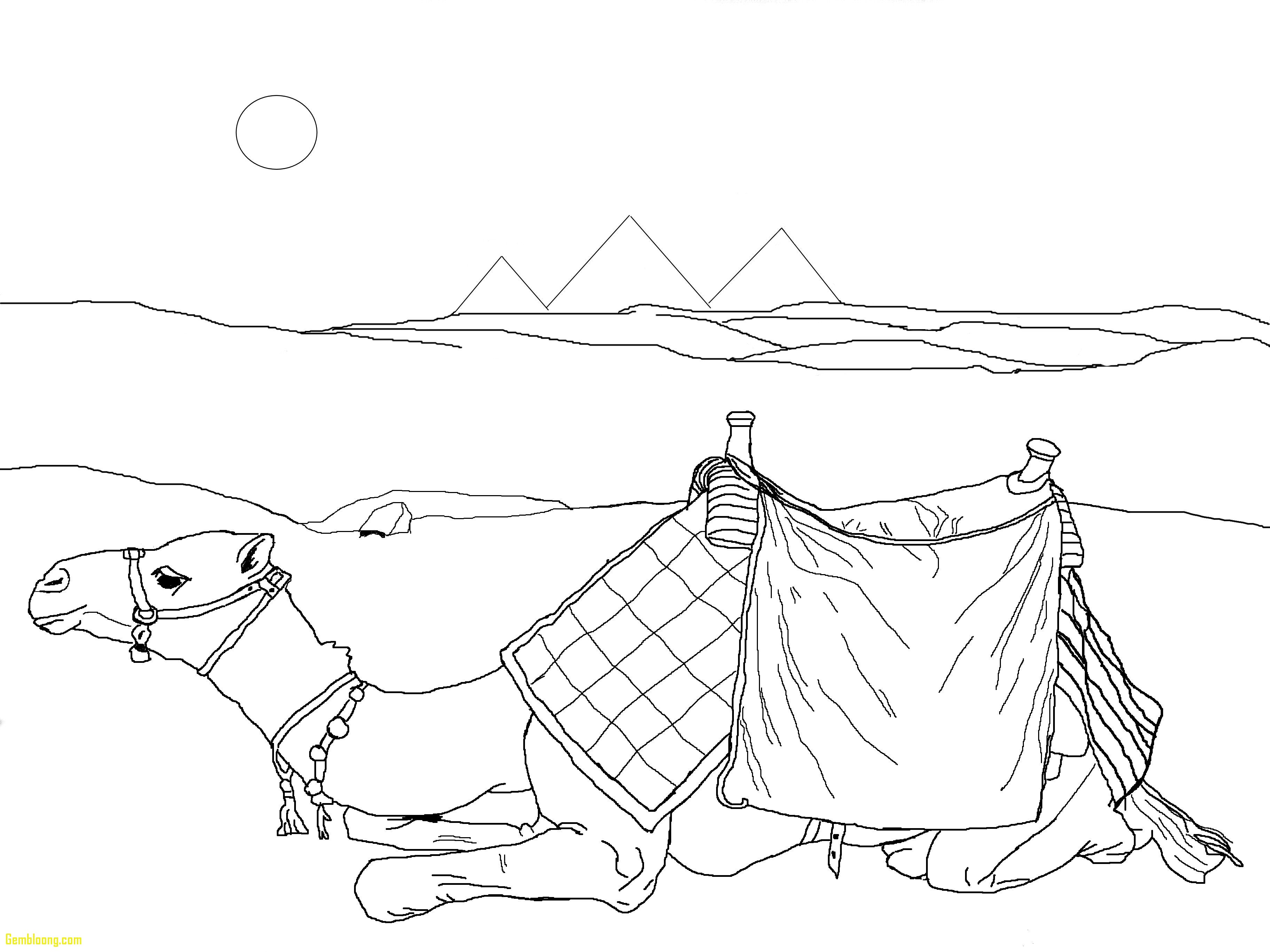 3648x2736 Desert Landscape Coloring Page Pages