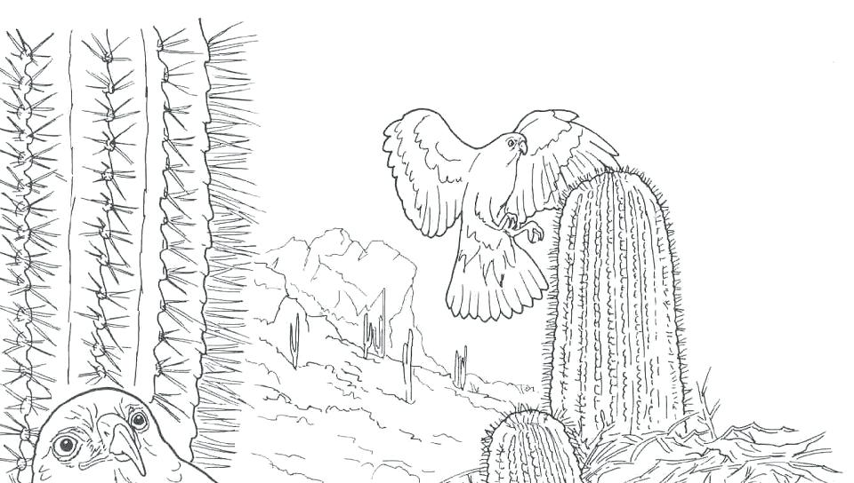 960x544 Desert Scene Coloring Pages Printable Printable Coloring Free