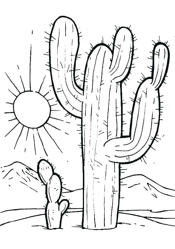 600x852 Desert Animal Coloring Pages Extinct Animals Coloring Pages Desert