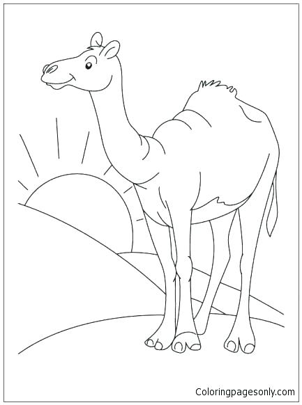 433x582 Desert Coloring Pictures Desert Coloring Pages Desert Deserts