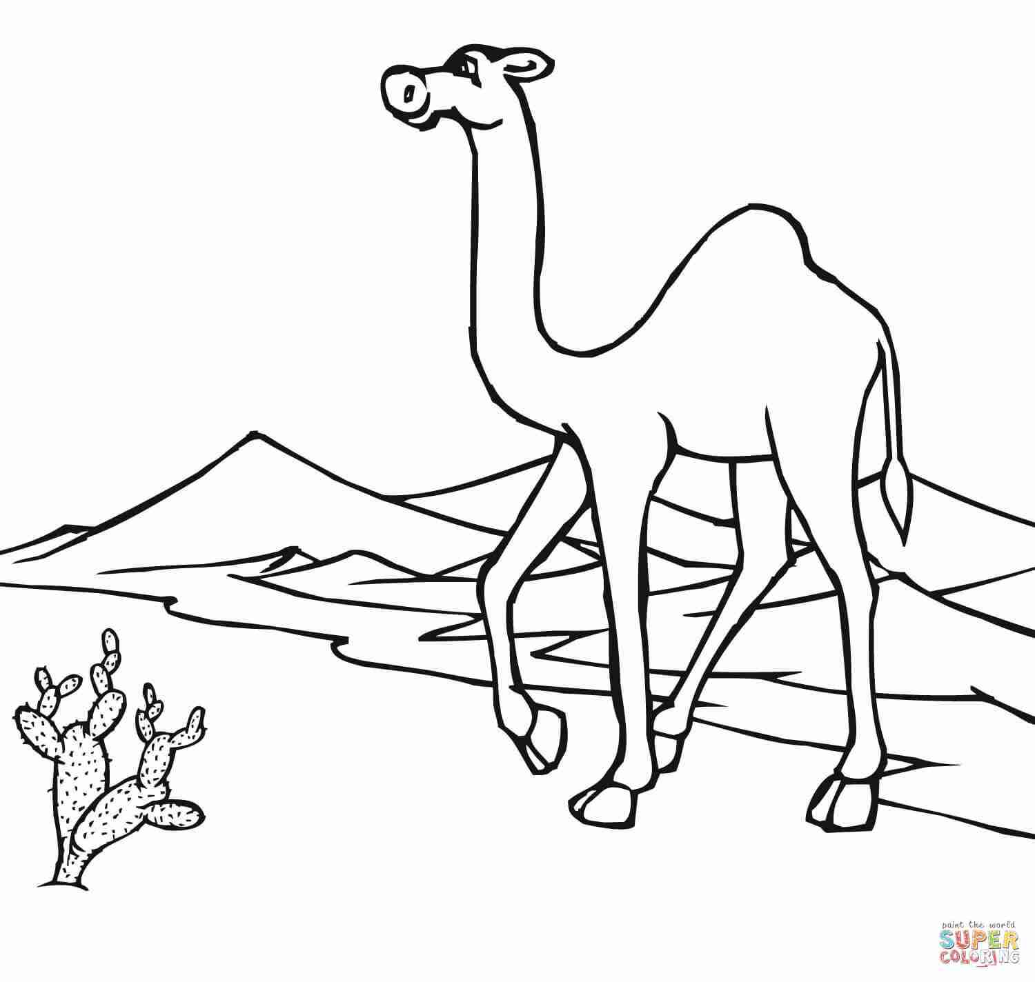 1500x1424 Desert Tortoise Coloring Page Magnificent Pages Olegratiy