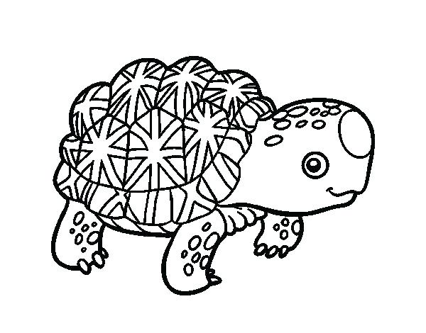 600x470 Tortoise Coloring Page Coloring Page Tortoise Desert Tortoise