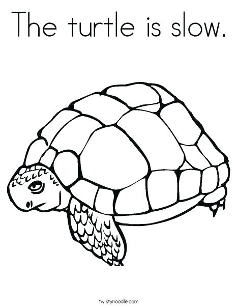 468x605 Tortoise Coloring Page Hare Tortoise Coloring Pages Drawn Turtle