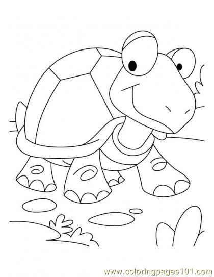 420x543 Tortoise Coloring Page4 Coloring Page