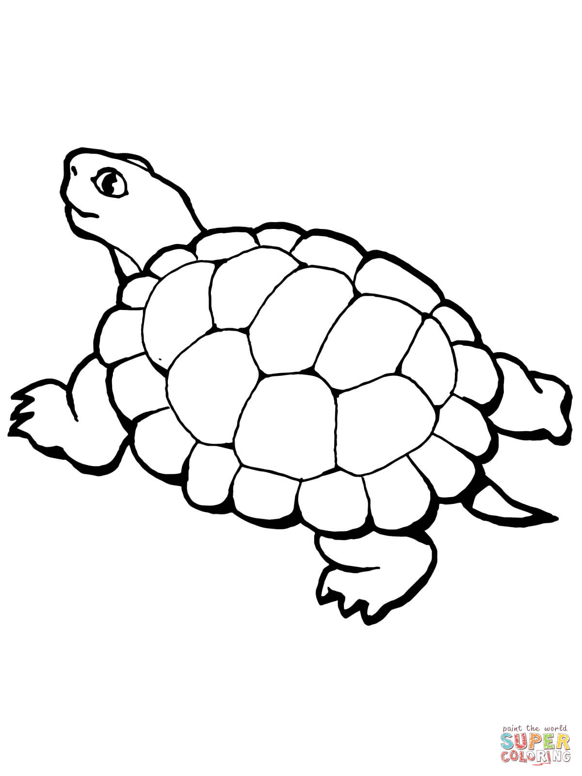 1200x1600 Valuable Tortoise Coloring Page Desert Jpg