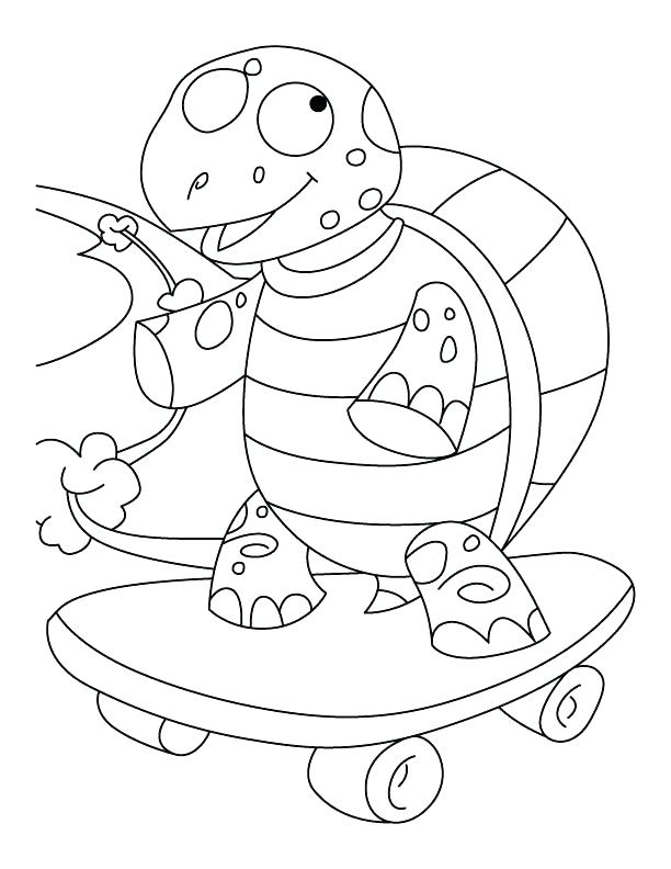 612x792 Tortoise Coloring Page