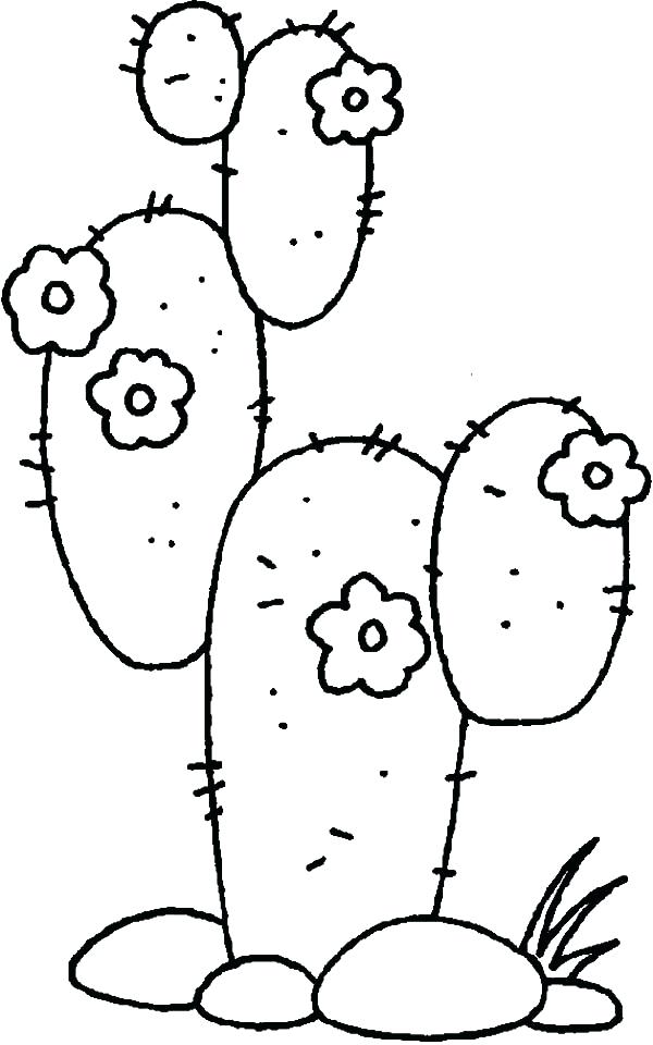 600x960 Desert Coloring Pictures Cactus In The Desert Coloring Pages