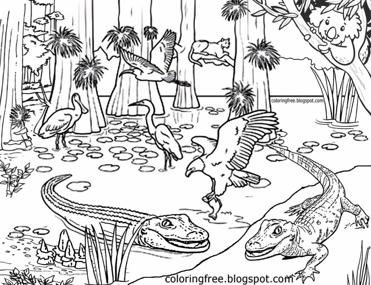 1300x1000 Destiny Australian Outback Coloring Pages Limited 13614
