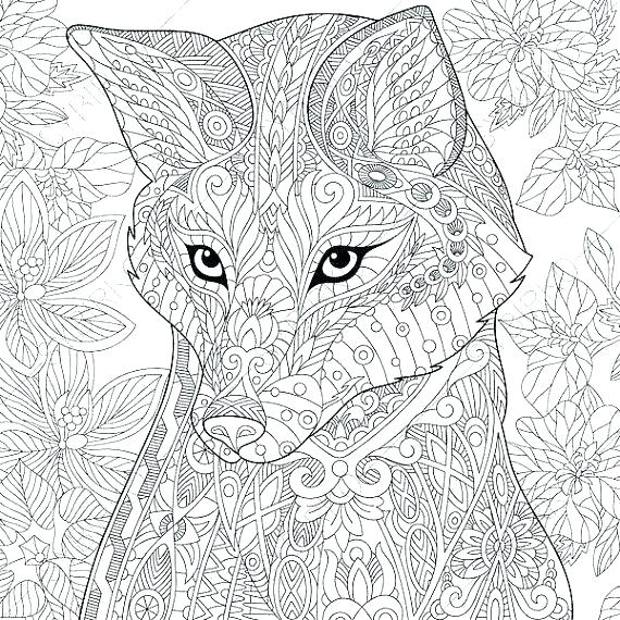 570x570 Detailed Unicorn Coloring Pages