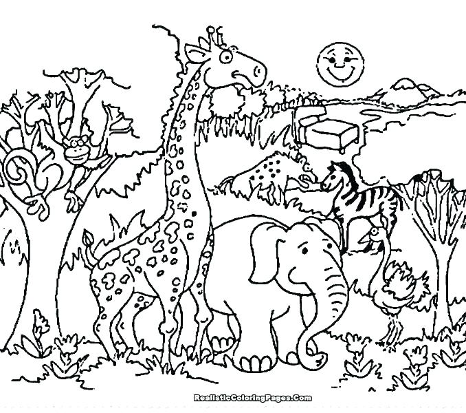 678x600 Wildlife Coloring Pages Printable Wildlife Coloring Pages Coloring