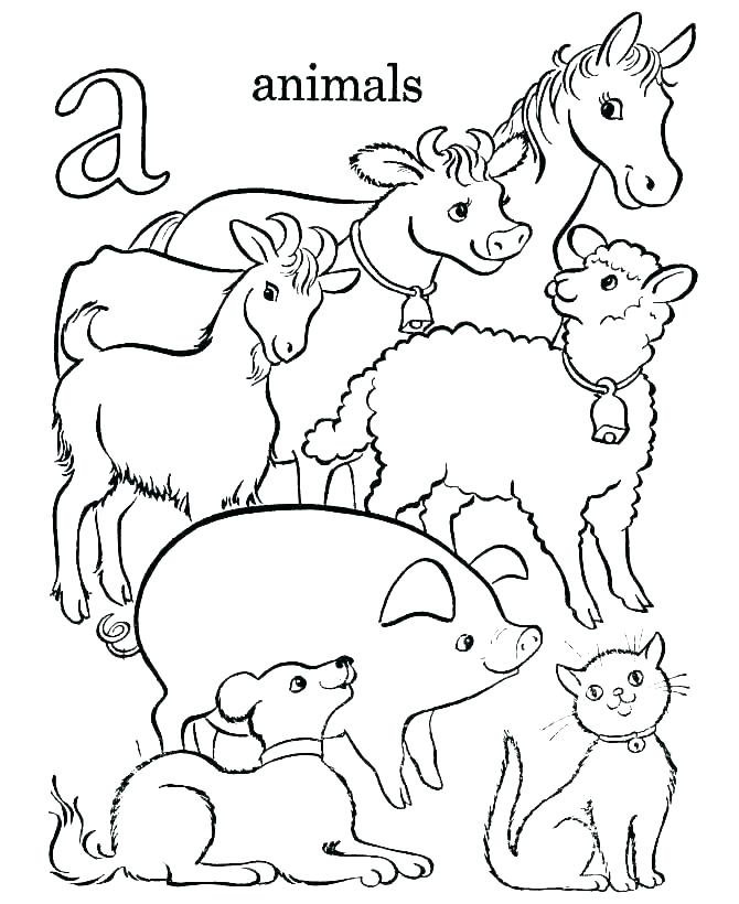 670x820 Hard Animal Coloring Pages Adults Devon Creamteas