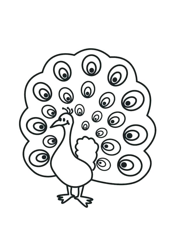 600x847 Peacock Color Page Pin Drawn Peacock Female Detailed Peacock