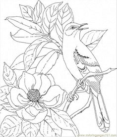 236x277 Printable Advanced Bird Coloring Pages For Adults Free