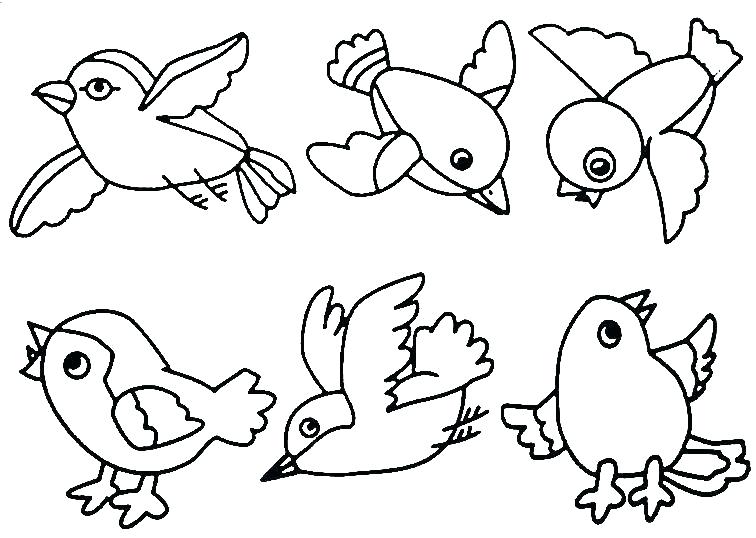 756x538 Realistic Bird Coloring Pages