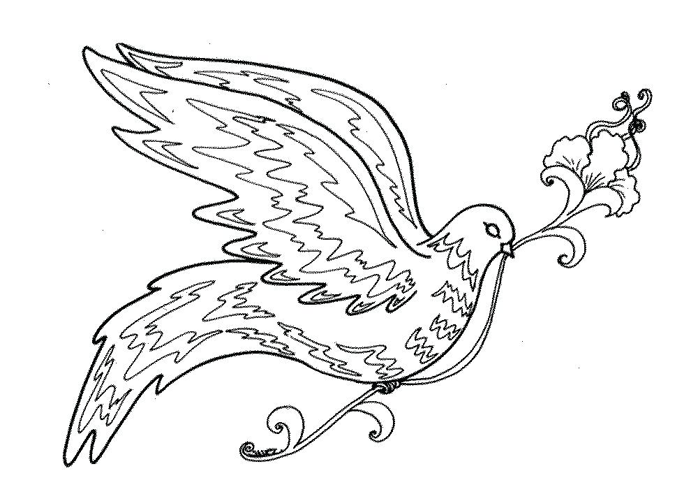 1000x714 Bird Color Sheet Free Printable Bird Coloring Pages As Printable