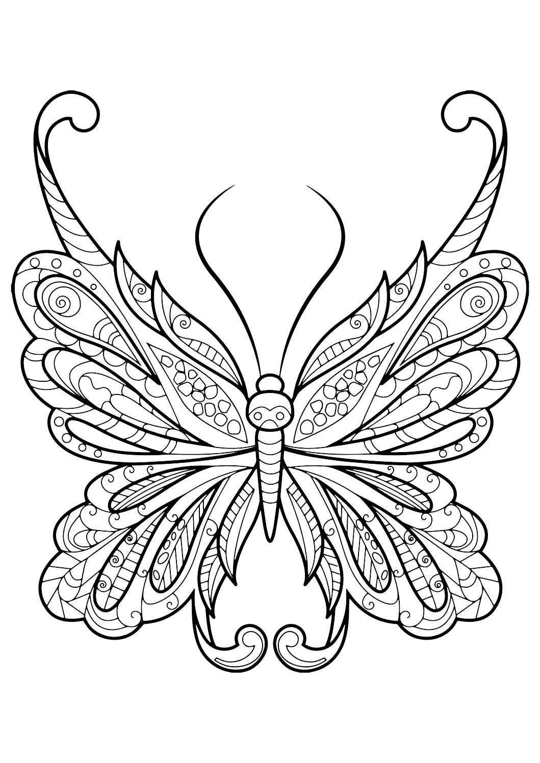 Detailed Butterfly Coloring Pages