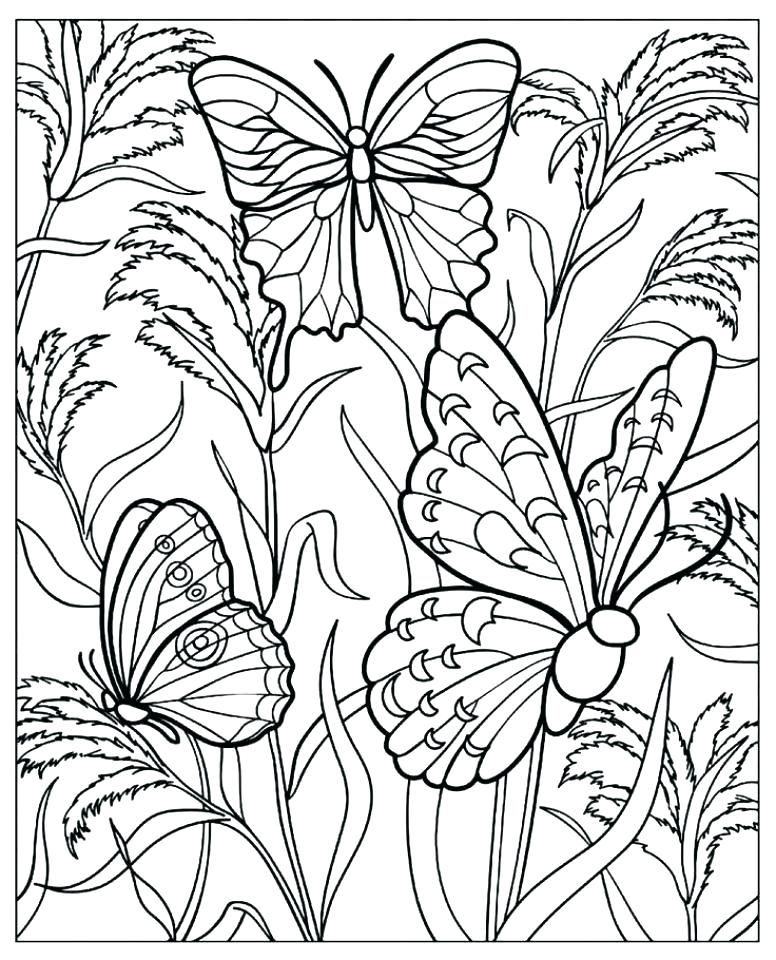 776x960 Butterfly Coloring Pages For Adults Printable Free Printable