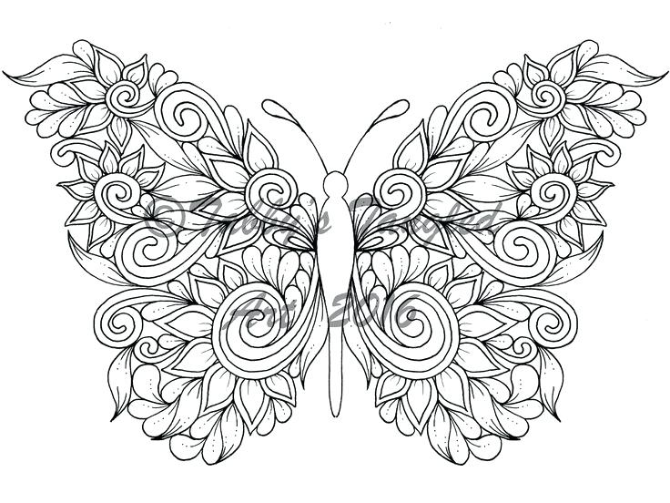 736x552 Detailed Butterfly Coloring Pages Beautiful Butterfly Coloring