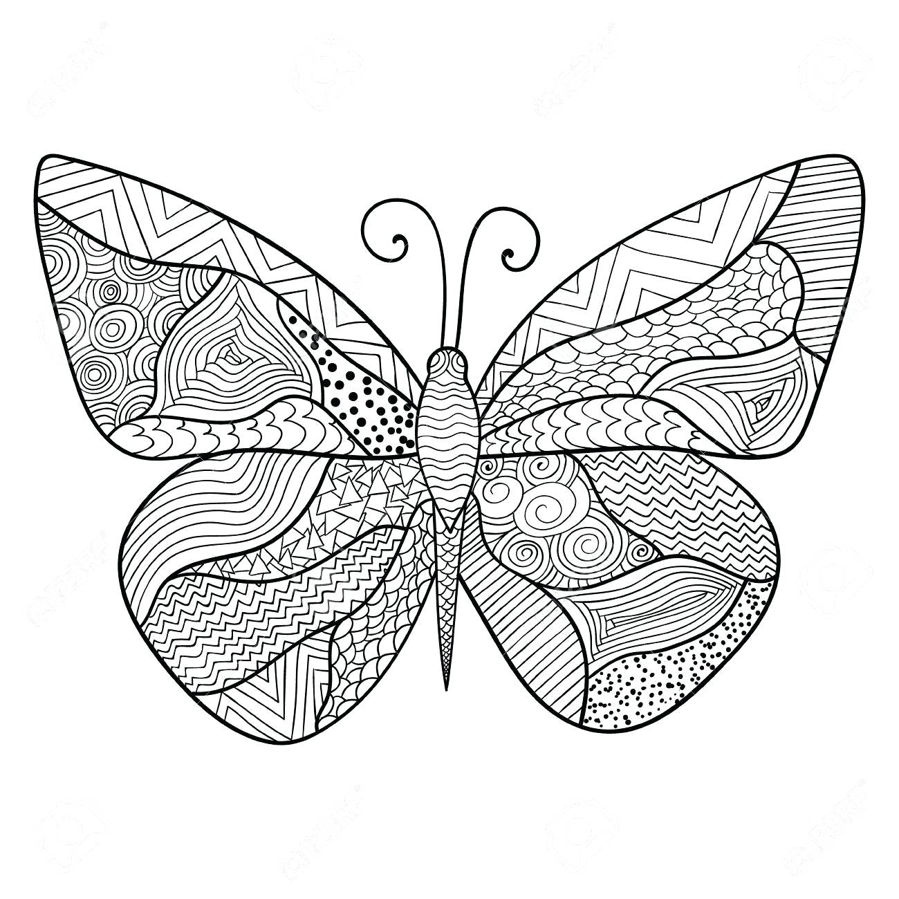 1300x1300 Fresh Butterfly Color Page Free Coloring Pages Download