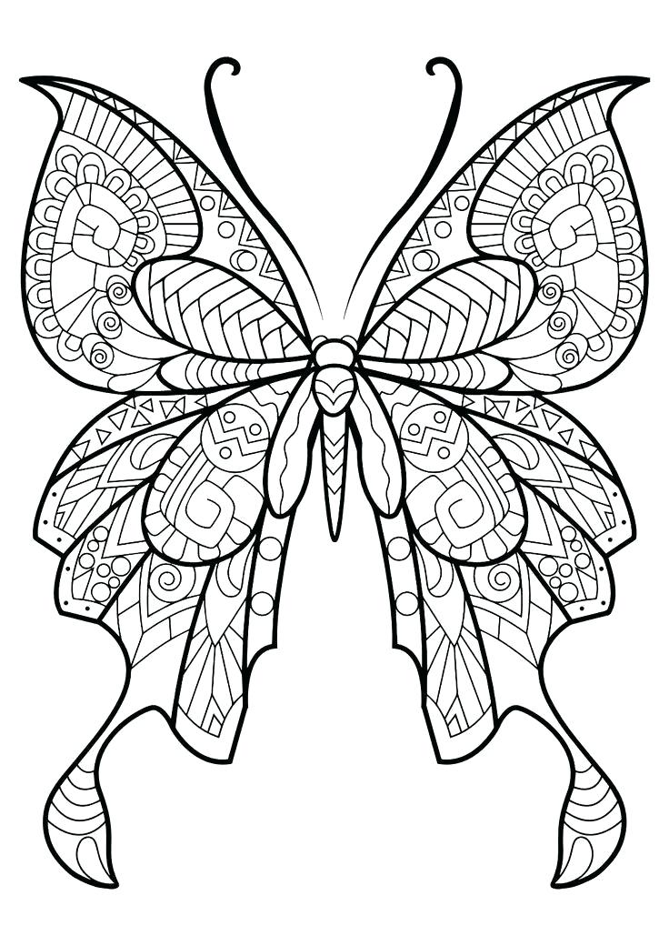736x1040 Butterflies Coloring Pages Cute Butterfly Coloring Pages Butterfly