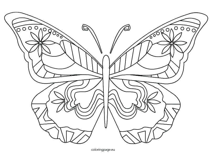 808x595 Color Pages Of Butterflies