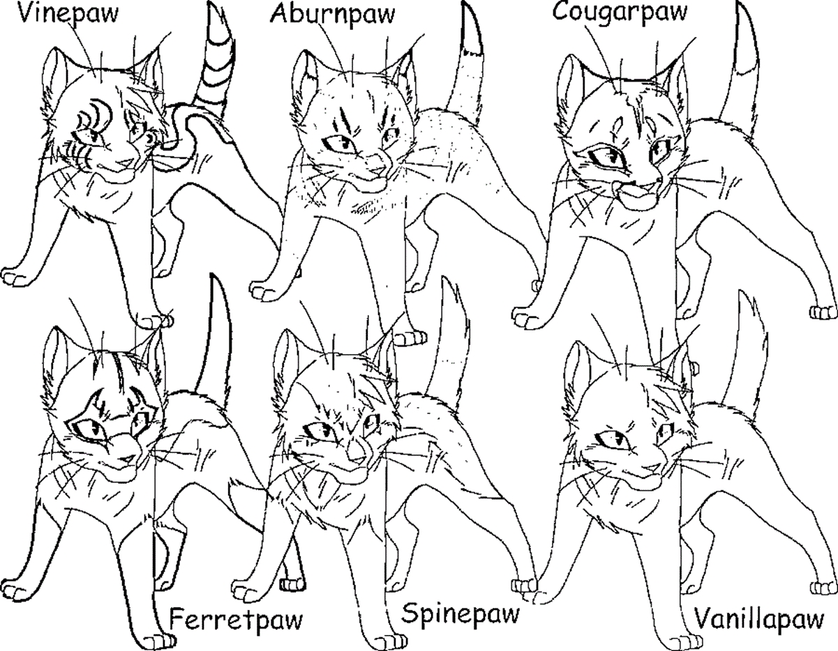 Detailed Cat Coloring Pages