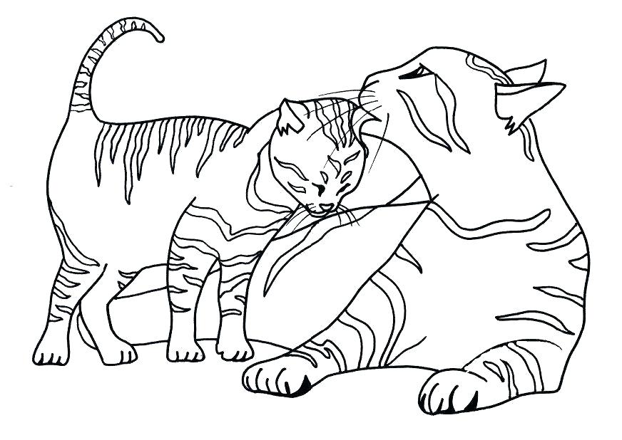 872x618 Cat Coloring Pages Cat Coloring Pictures Free Coloring Pages