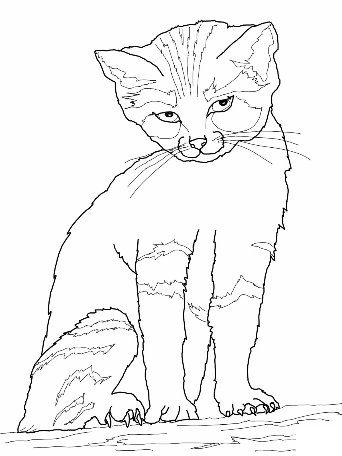 1200x1600 Realistic Cat Coloring Pages Printable
