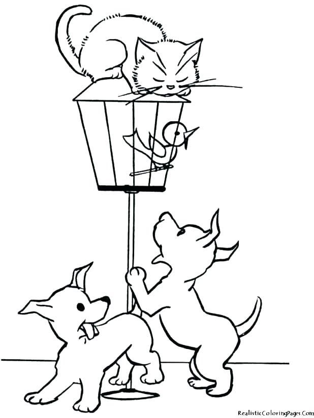 618x824 Big Cat Coloring Pages Realistic Cat Coloring Pages Luxury
