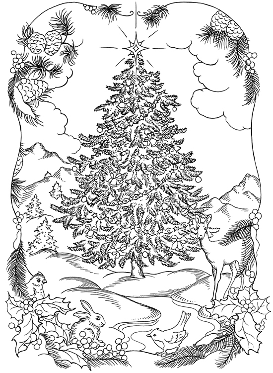 550x750 Coloring Pages For Adults Nature Educational Coloring Pages