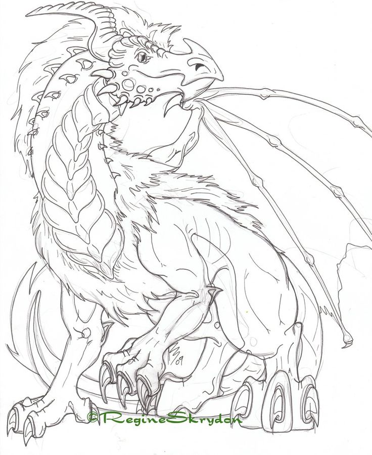 736x899 Dragon Coloring Pages For Adults