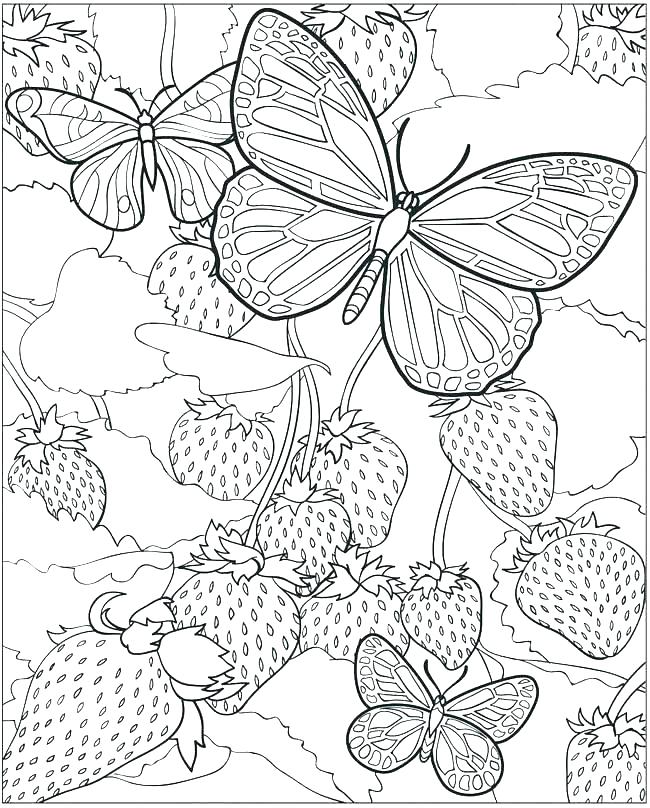 650x808 Inspirational Detailed Coloring Pages Printable For Free Older