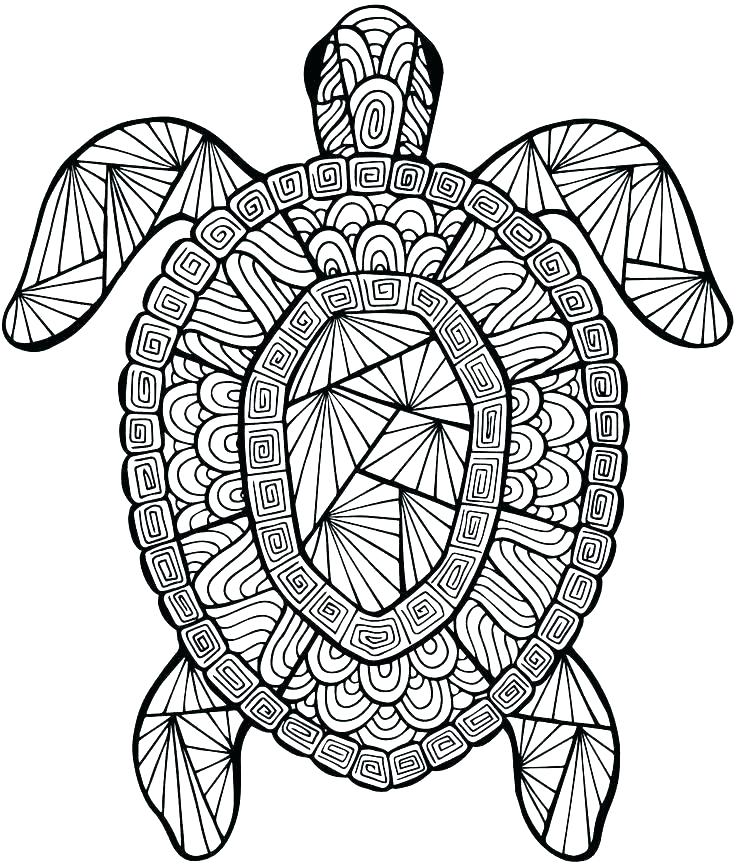 736x866 Detailed Color Pages Detailed Mandala Coloring Pages Advanced