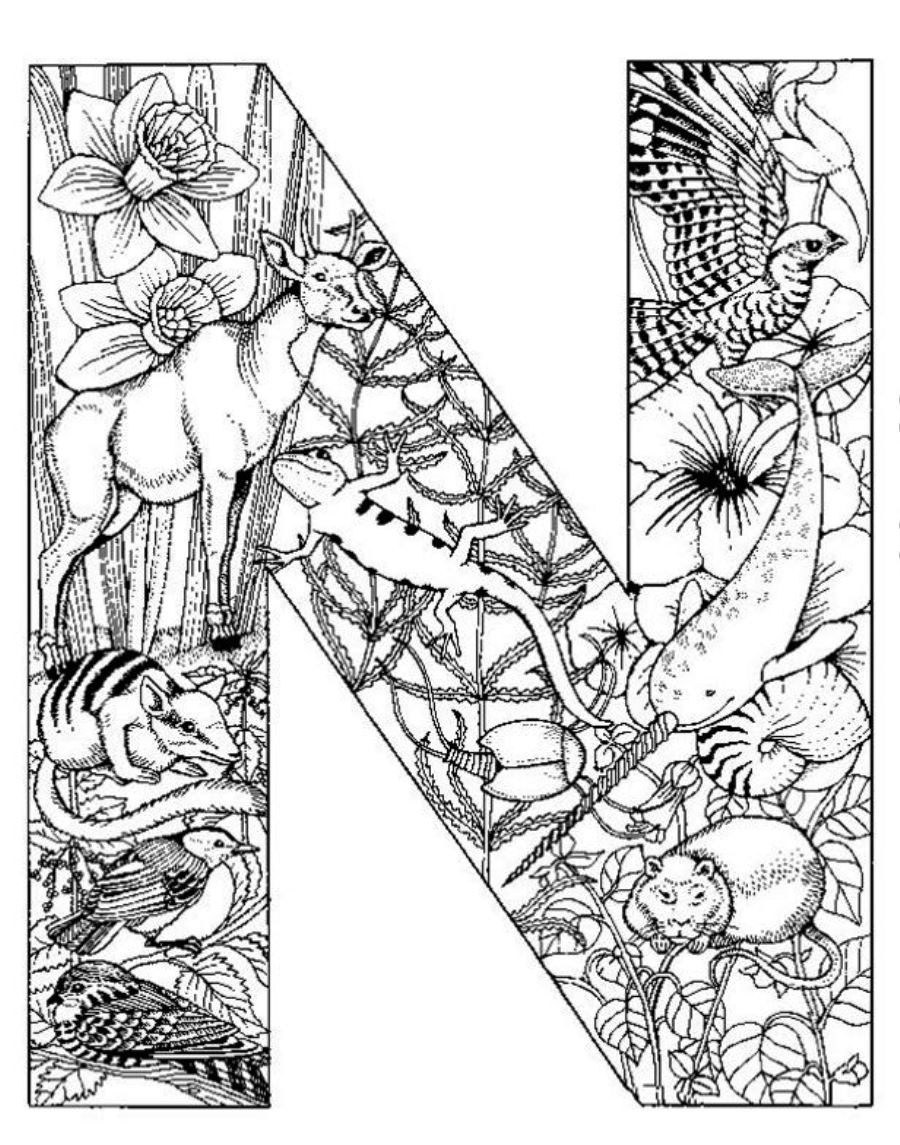 900x1145 Ac Detailed Coloring Pages Spectacular Detailed Coloring Pages