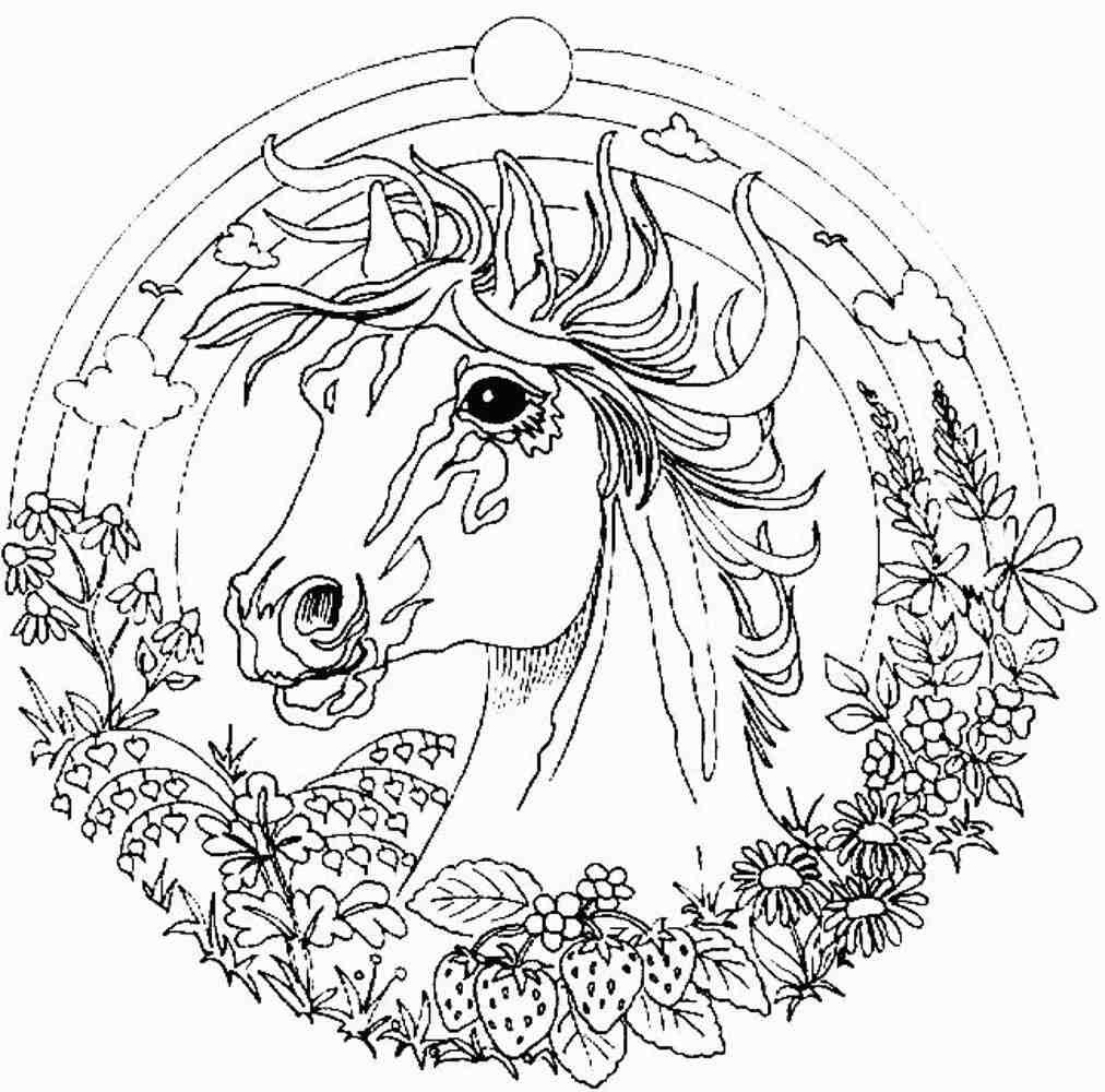 1012x1000 Adult Fairy Coloring Pages Free Printable For Adults Fairies World