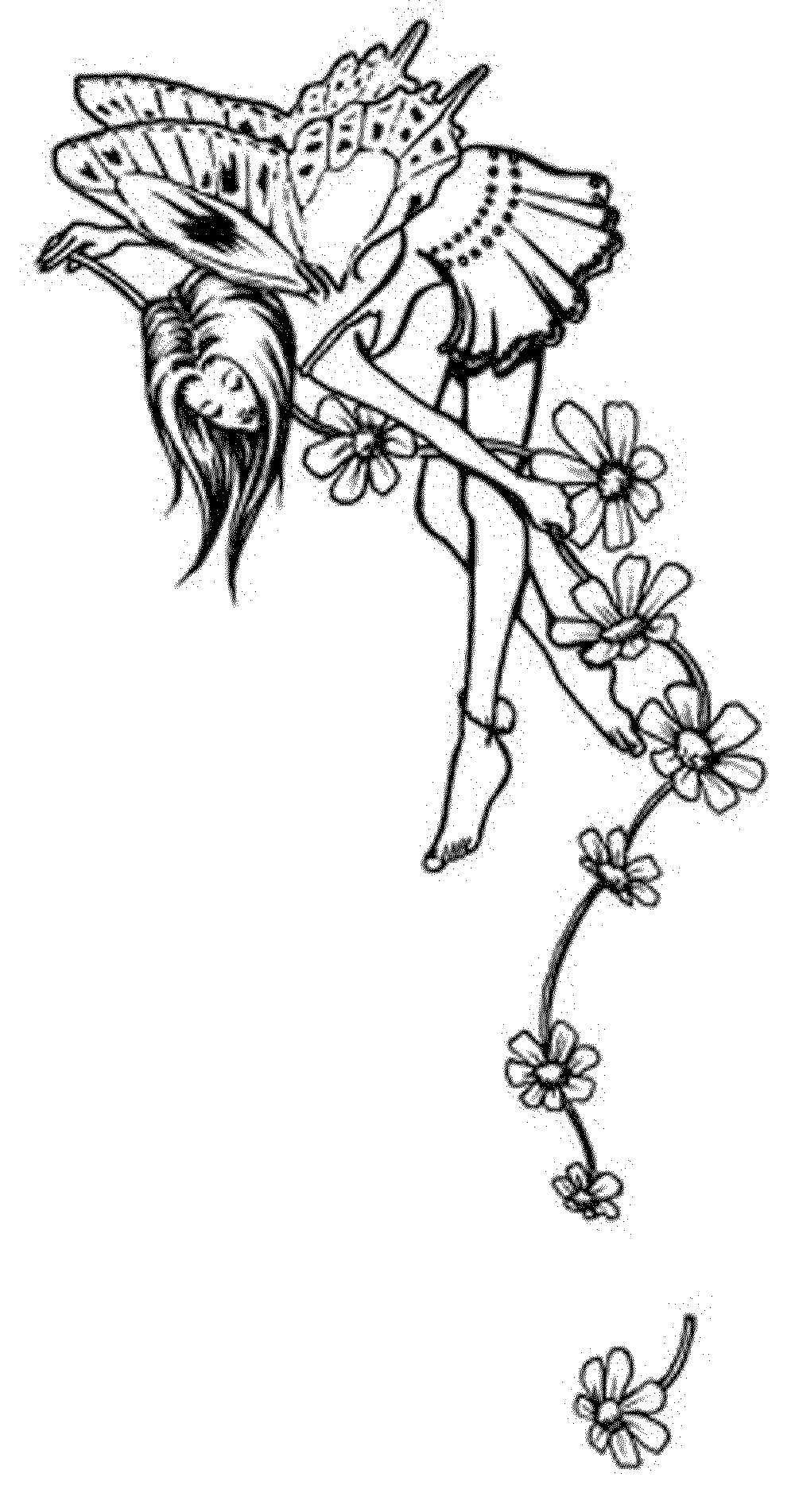 1000x1903 Fairy Coloring Pages For Adults