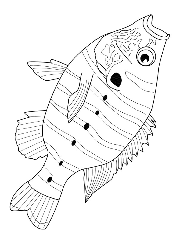 600x800 Kids N 41 Coloring Pages Of Fish