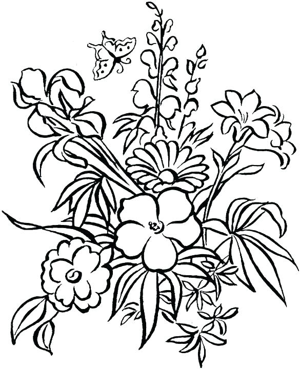 585x720 Hibiscus Flower Coloring Pages Printable Flowers Coloring Pages