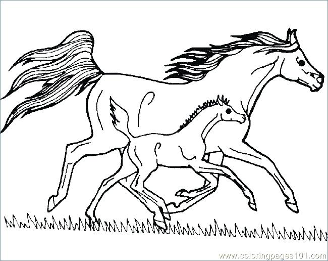 650x516 Free Printable Coloring Pages Of Realistic Horses Kids Coloring