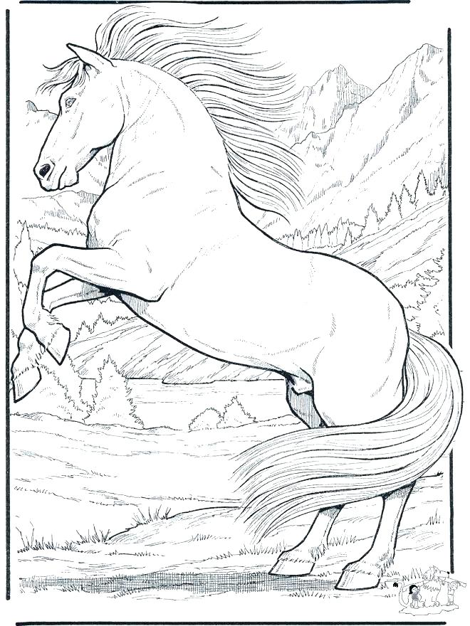 660x880 Free Printable Horse Coloring Pages For Adults Free Printable