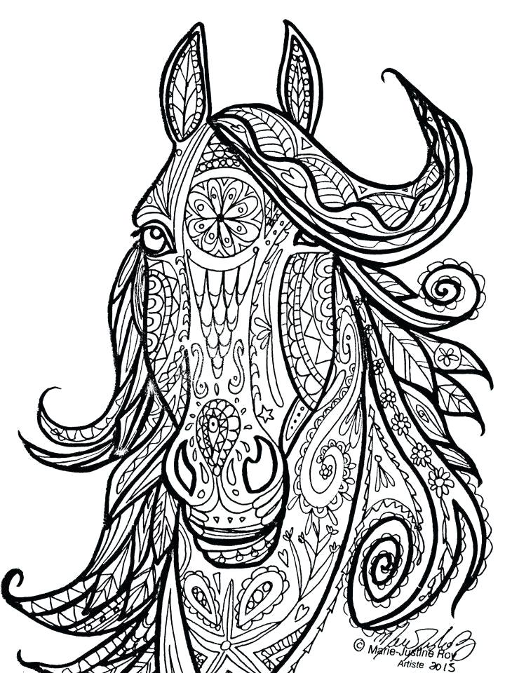 720x960 Horses Coloring Pages Horses Coloring Page Realistic Arabian Horse