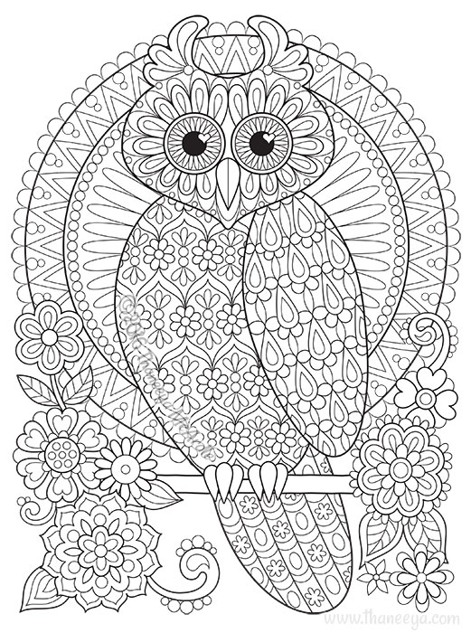 521x700 Groovy Owls Coloring Book By Thaneeya Mcardle