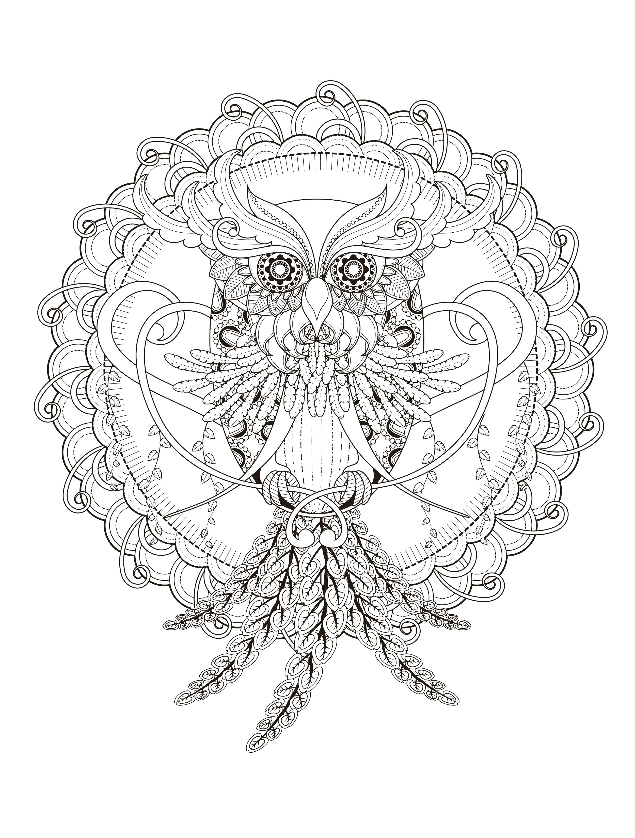 2500x3300 Owl Adult Coloring Page Acpra