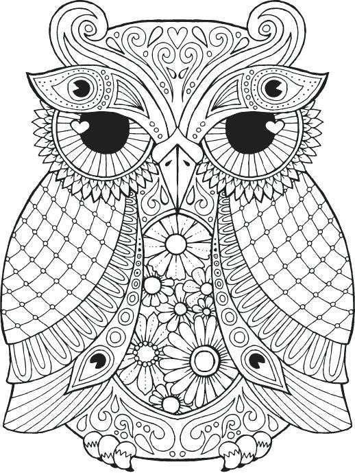 518x689 Owl Coloring Page For Adults Stress Relief Owl And Bliss Owl