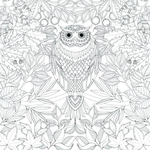 500x500 Owl Coloring Pages For Adults Or Owl Coloring Pages For Adults