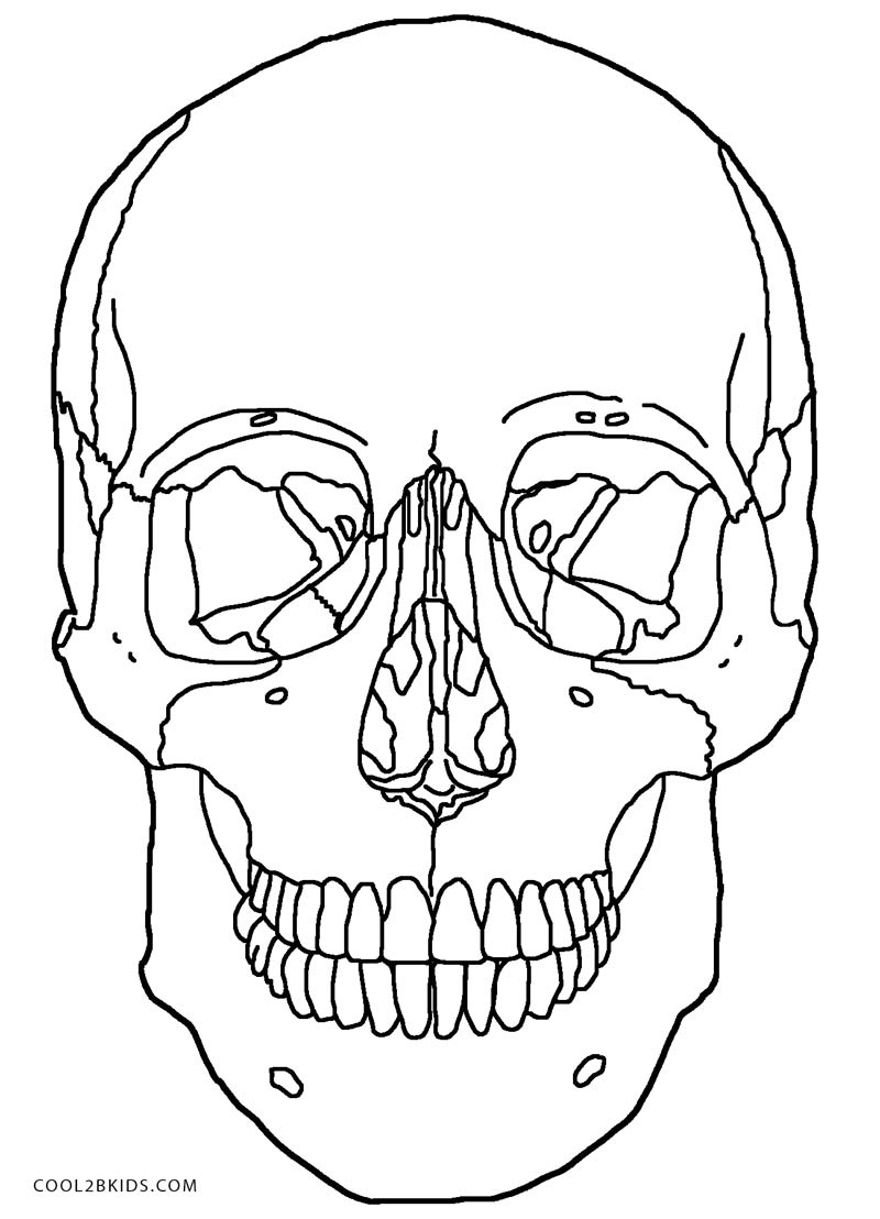 800x1108 24 Lovely Skull Coloring Pages Kids Information And Ideas
