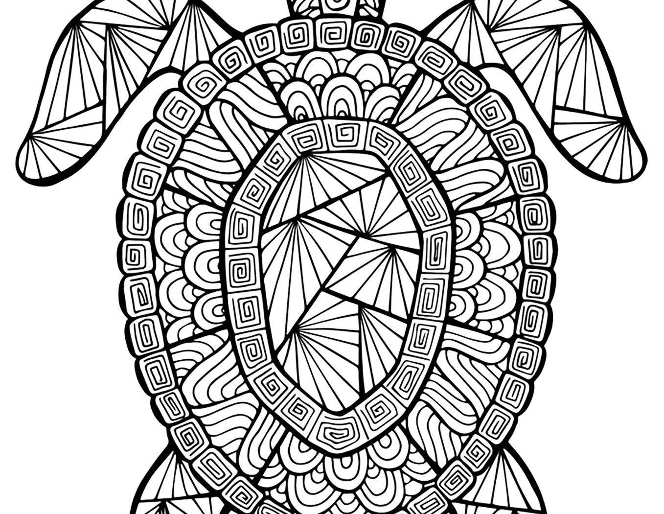 1357x1050 New Sea Turtle Coloring Page Best Book Ideas For Kids